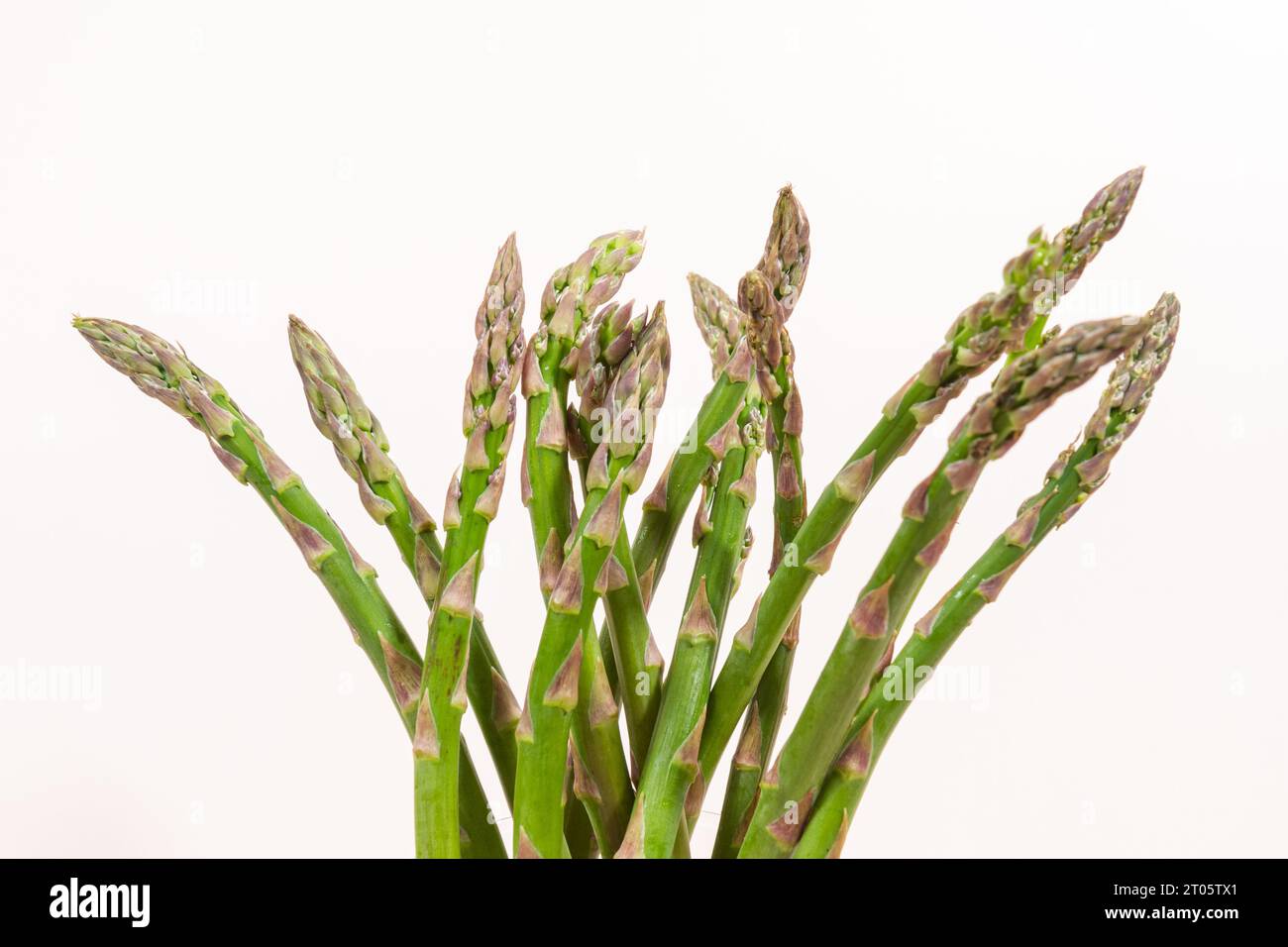 Les pointes d'asperges se rapprochent, étalent Banque D'Images