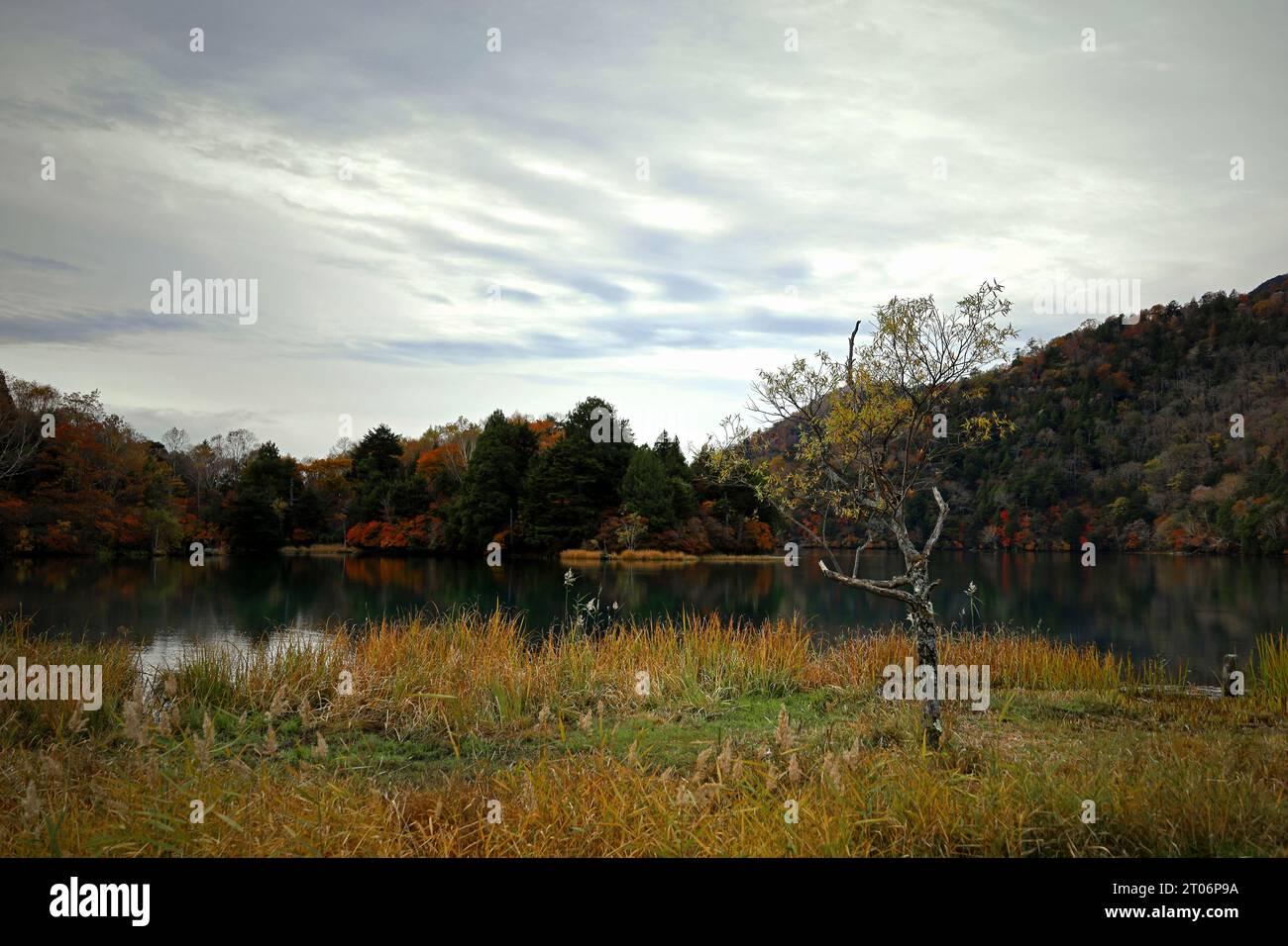 Beaux paysages au Japon - Voyage à Nikko - vue des feuilles d'automne au lac Yunoko Banque D'Images