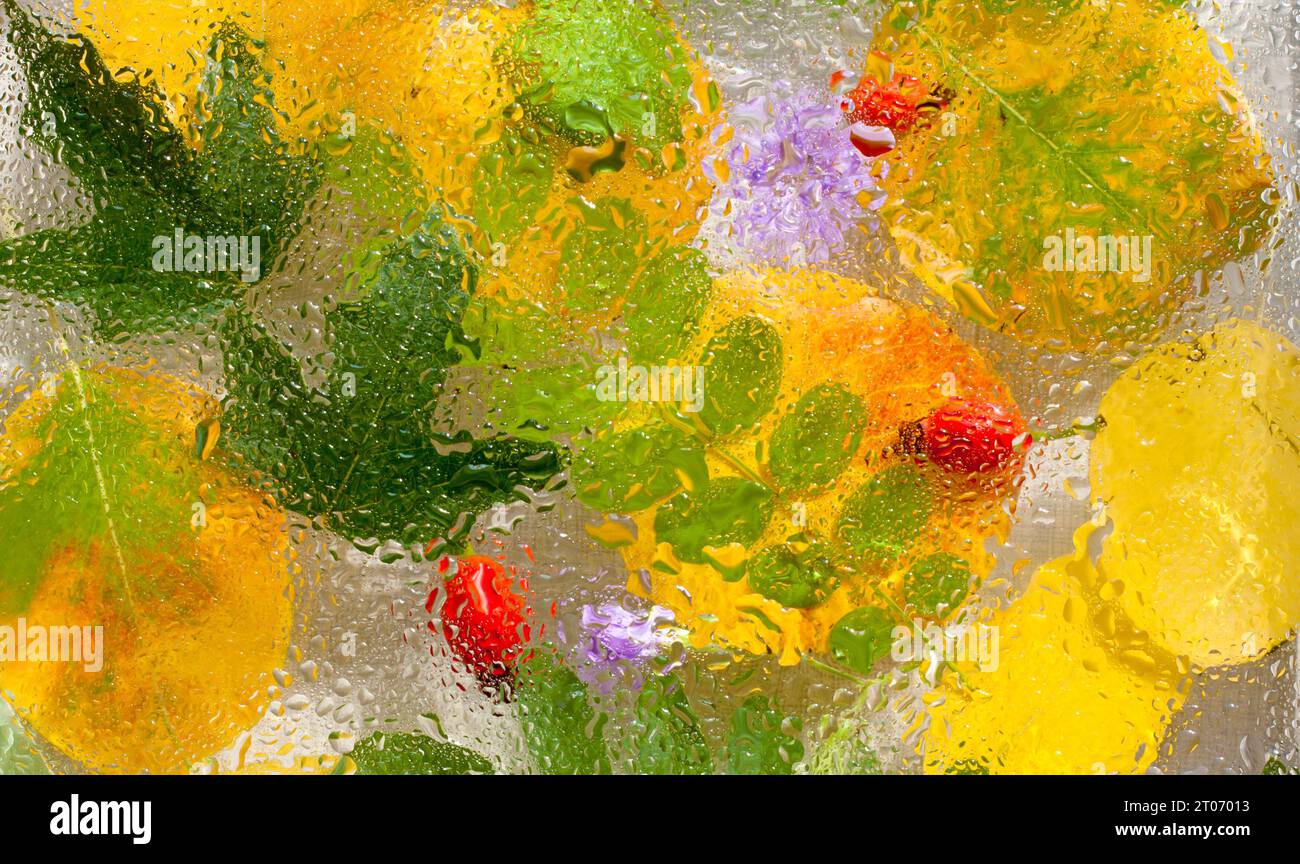 Fond lumineux d'automne. feuilles jaunes et vertes d'automne, hanches roses sur texture de verre pluvieux, fond naturel abstrait. concept de saison d'automne. pluvieux Banque D'Images