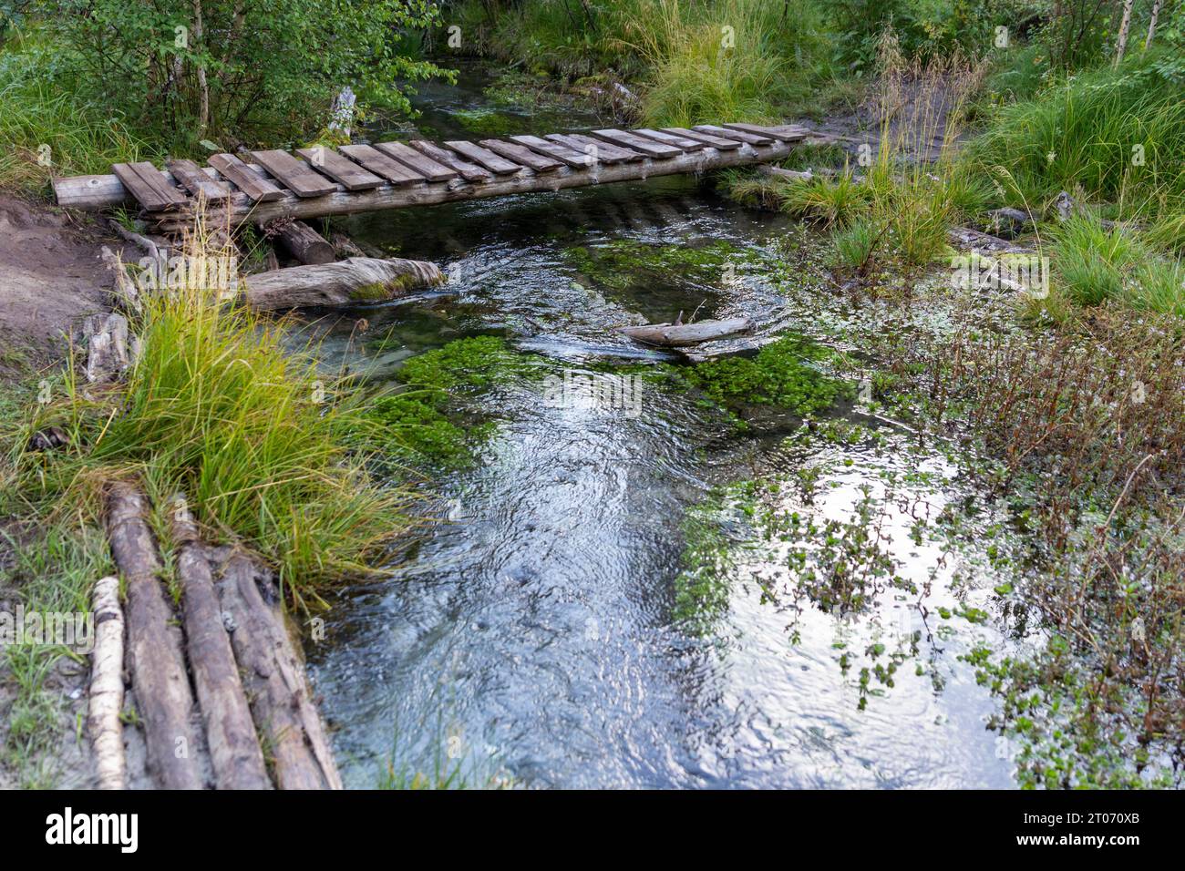 Ancien petit pont à travers une rivière dans une forêt. Banque D'Images