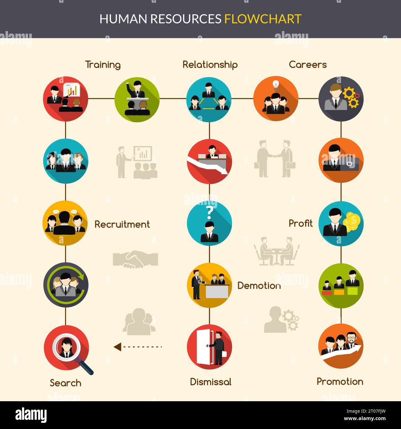 Organigramme des ressources humaines avec illustration vectorielle des ...