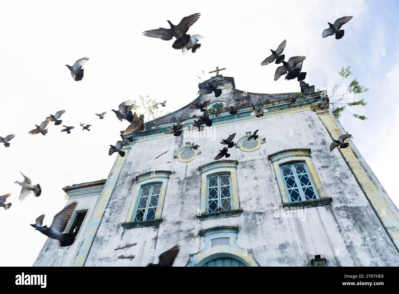 Plusieurs pigeons volant devant une église. Animaux sauvages et transmetteurs de maladies. Santé publique. Banque D'Images