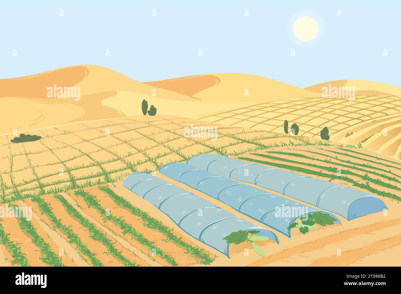 Plantations de légumes dans le désert. Le concept de lutte contre la désertification et les sécheresses, en créant des sols fertiles. Lits avec courgettes dans le sable. Illustration de Vecteur