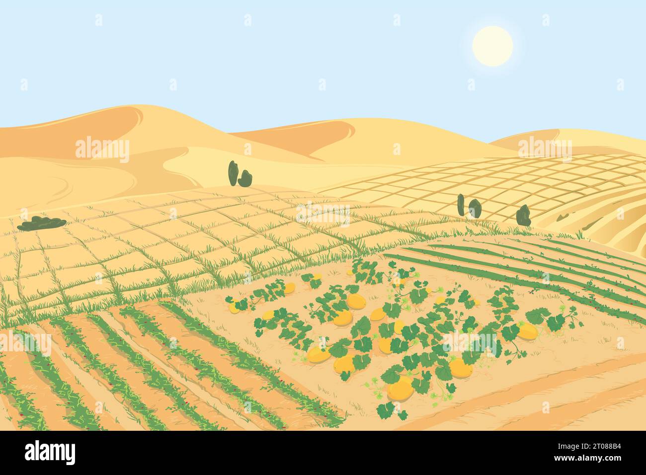 Le concept d'introduction de technologies agricoles pour lutter contre le problème mondial de la désertification des terres. Paysage avec ferme maraîchère Illustration de Vecteur