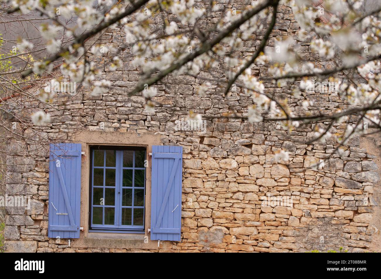 Fleurir sur maison avec volets violets, Vergnes, département du Lot, France Banque D'Images