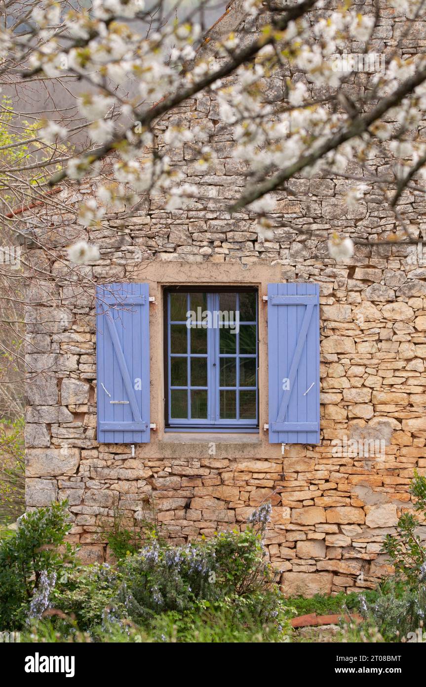 Fleurir sur maison avec volets violets, Vergnes, département du Lot, France Banque D'Images