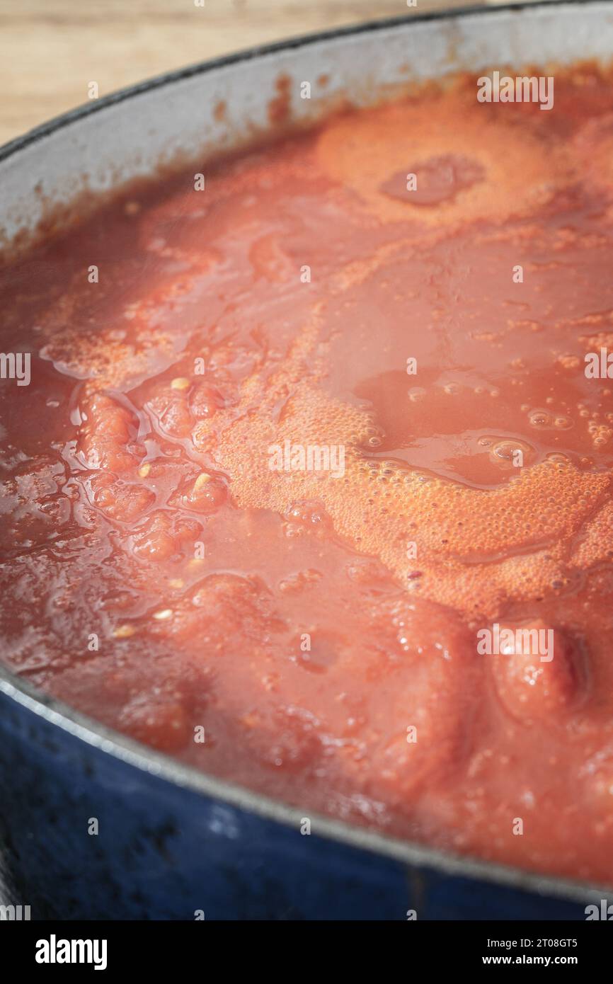 Préparation de saucisses, côtes, bœuf, oignons et tomates pour Ragù napolitaine sur pâtes Orecchiette dans Home Kitchen Banque D'Images