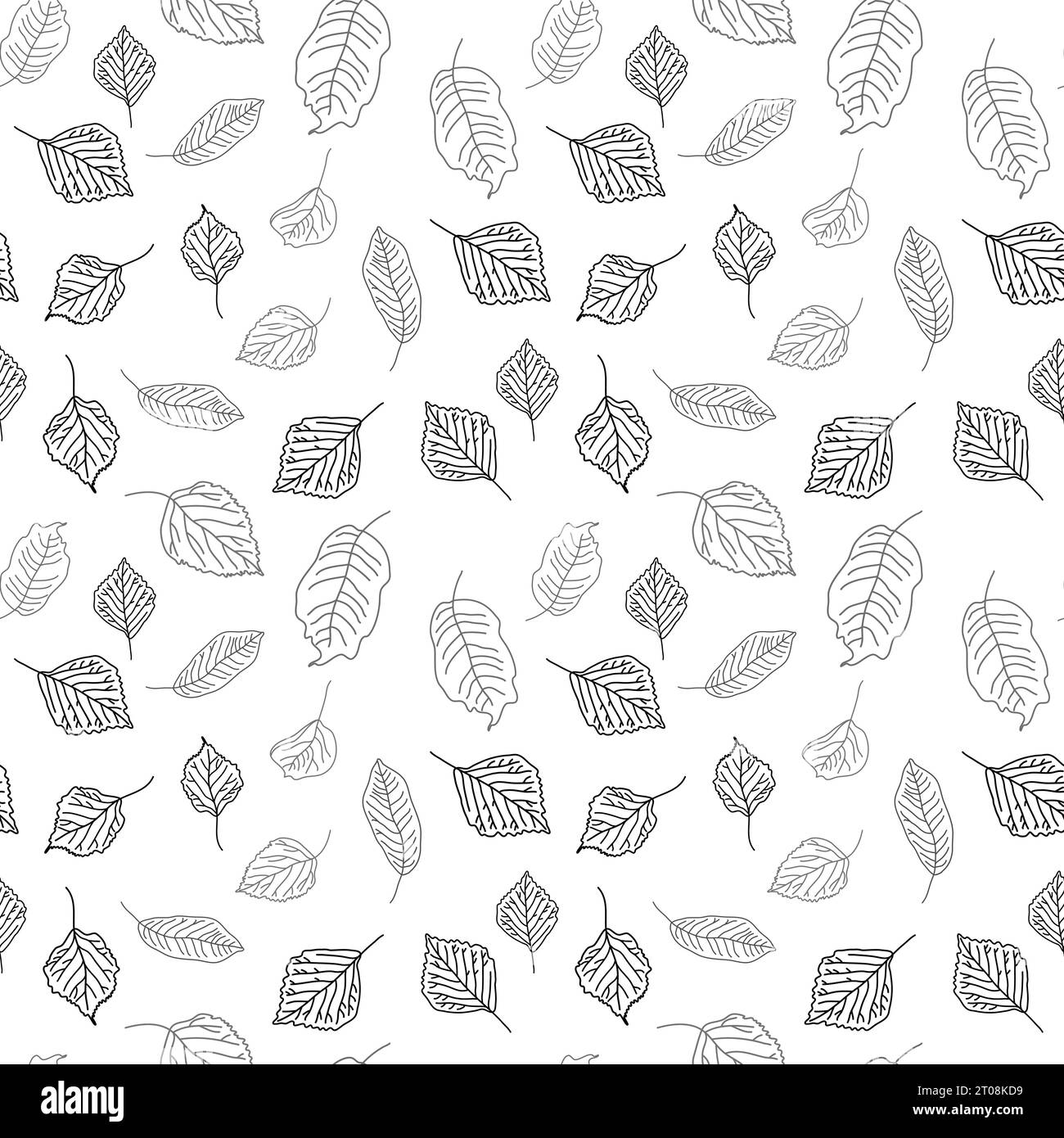 Vector dessin sans couture dessiné à la main de feuilles d'automne de bouleau, chêne, érable, frêne Illustration de Vecteur