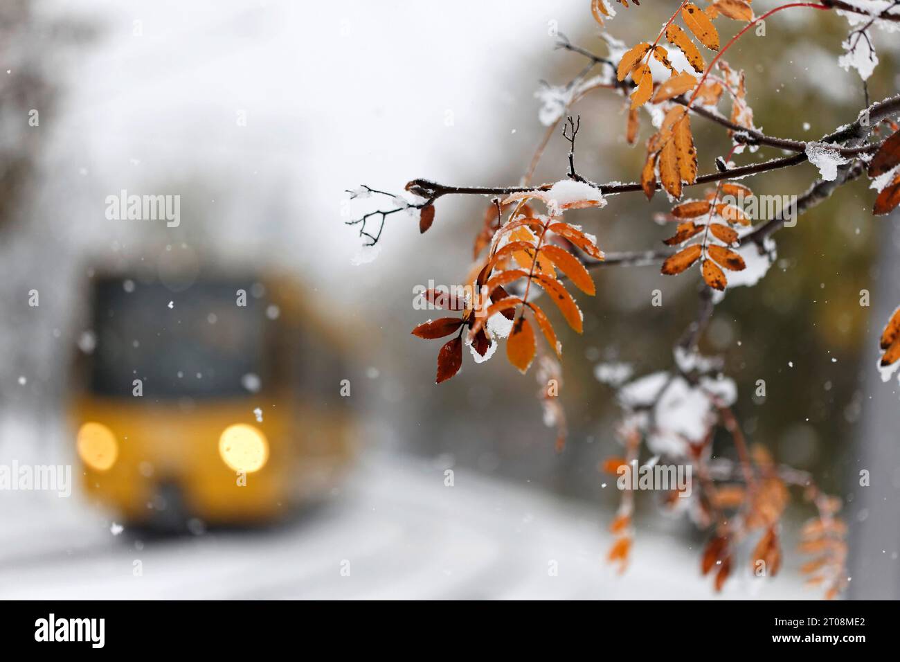 Neige en octobre, l'hiver arrive trop tôt, les feuilles d'automne colorées des arbres forment un contraste avec la neige, le système de rail léger a également des difficultés Banque D'Images