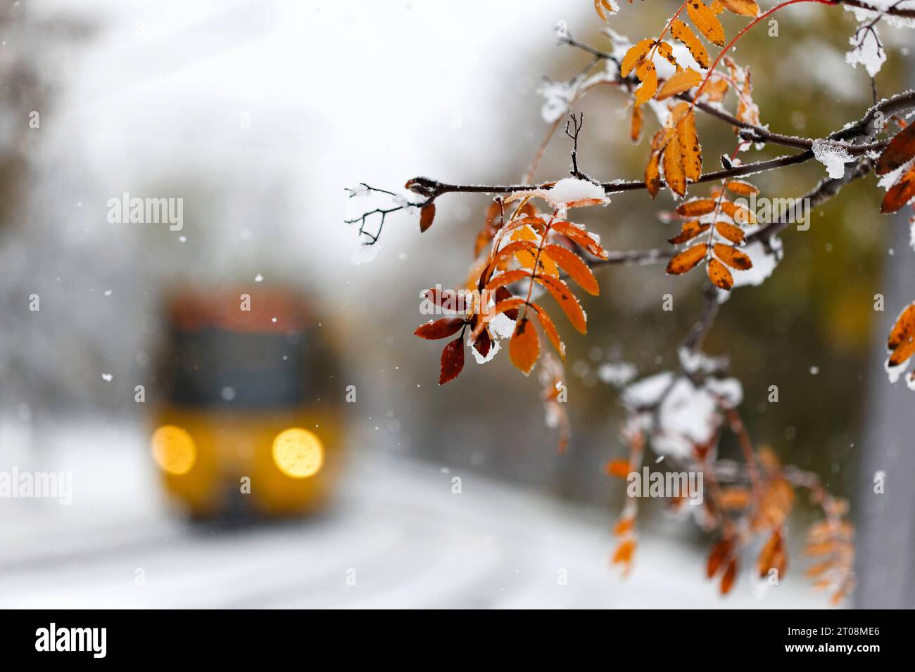 Neige en octobre, l'hiver arrive trop tôt, les feuilles d'automne colorées des arbres forment un contraste avec la neige, le système de rail léger a également des difficultés Banque D'Images