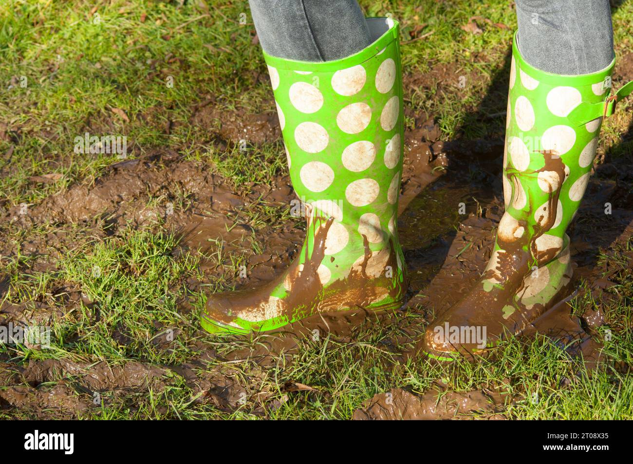 Gros plan de bottes wellington vertes à pois dans des conditions très boueuses - John Gollop Banque D'Images