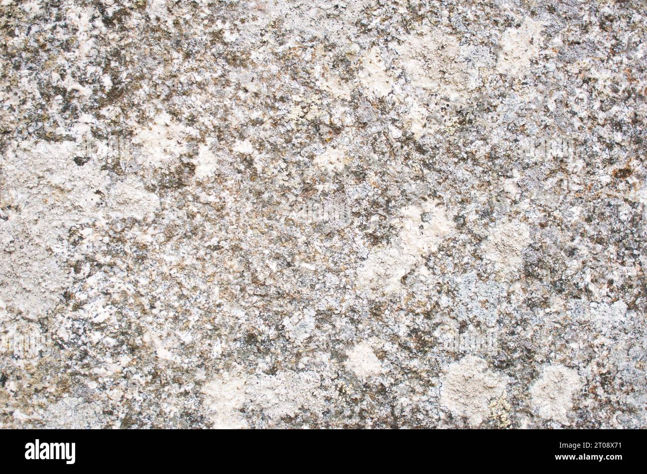 Gros plan de granit couvert de lichen, idéal pour une utilisation comme arrière-plan - John Gollop Banque D'Images