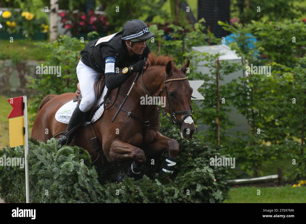 Jonathan PAGET NZL Aktion auf Clifton Lush Vielseitigkeit, Cross Country CHIO Aachen 2013 in Aachen, Deutschland am 29.06.2013 Banque D'Images