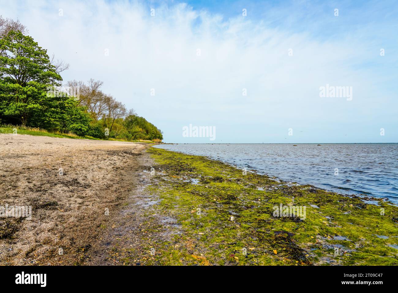 Vue sur la mer Baltique sur l'île de Poel, près de la plage de Gollwitz. Banque D'Images