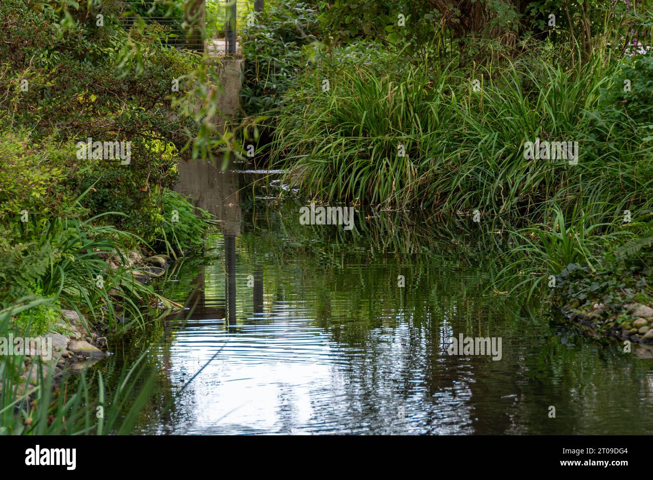 Vue sur le cours de la rivière Bièvre coulant brièvement en plein air dans la ville de Cachan, France Banque D'Images