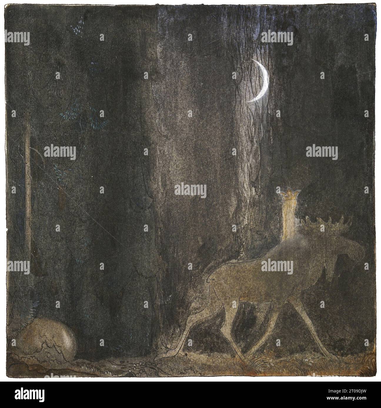 Tuvstarr och Skutt i skogen, c 1913 - John Bauer, artiste suédois, 1882-1918 Banque D'Images