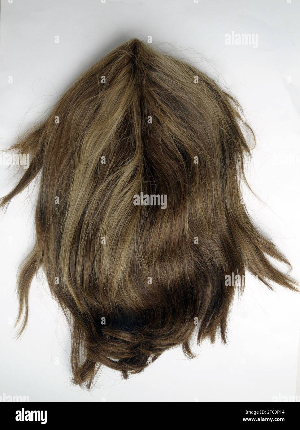 perruque, perruque de cheveux naturels, cheveux ; crinière ; cheveux longs; blonde ; brun ; cheveux ; perruque ; image; couleur marron ; couleur blonde ; meral ; cheveux synthétiques ; reflets; oncologie Banque D'Images