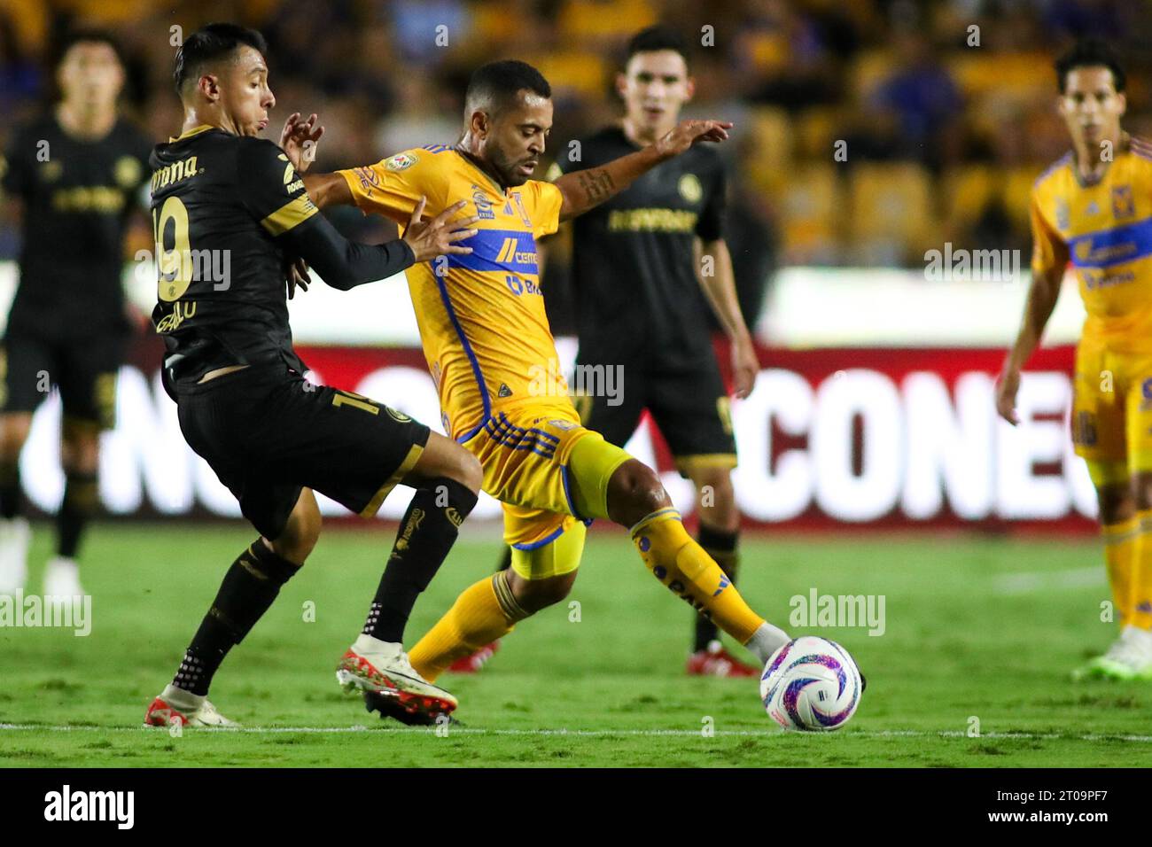 Monterrey, Mexique. 04 octobre 2023. 4 octobre 2023 ; Monterrey, Nuevo León, Mexique, Estádio Universitário ; Liga BBVA MX Round 11 match entre le Club Tigres UANL et Toluca. #5 milieu de terrain Tigres, Rafael Carioca en cours d'exécution avec le ballon le protégeant de l'attaquant #19 Toluca, Edgar Iván López Rodríguez. Crédit obligatoire : Toby Tande crédit : PX Images/Alamy Live News Banque D'Images