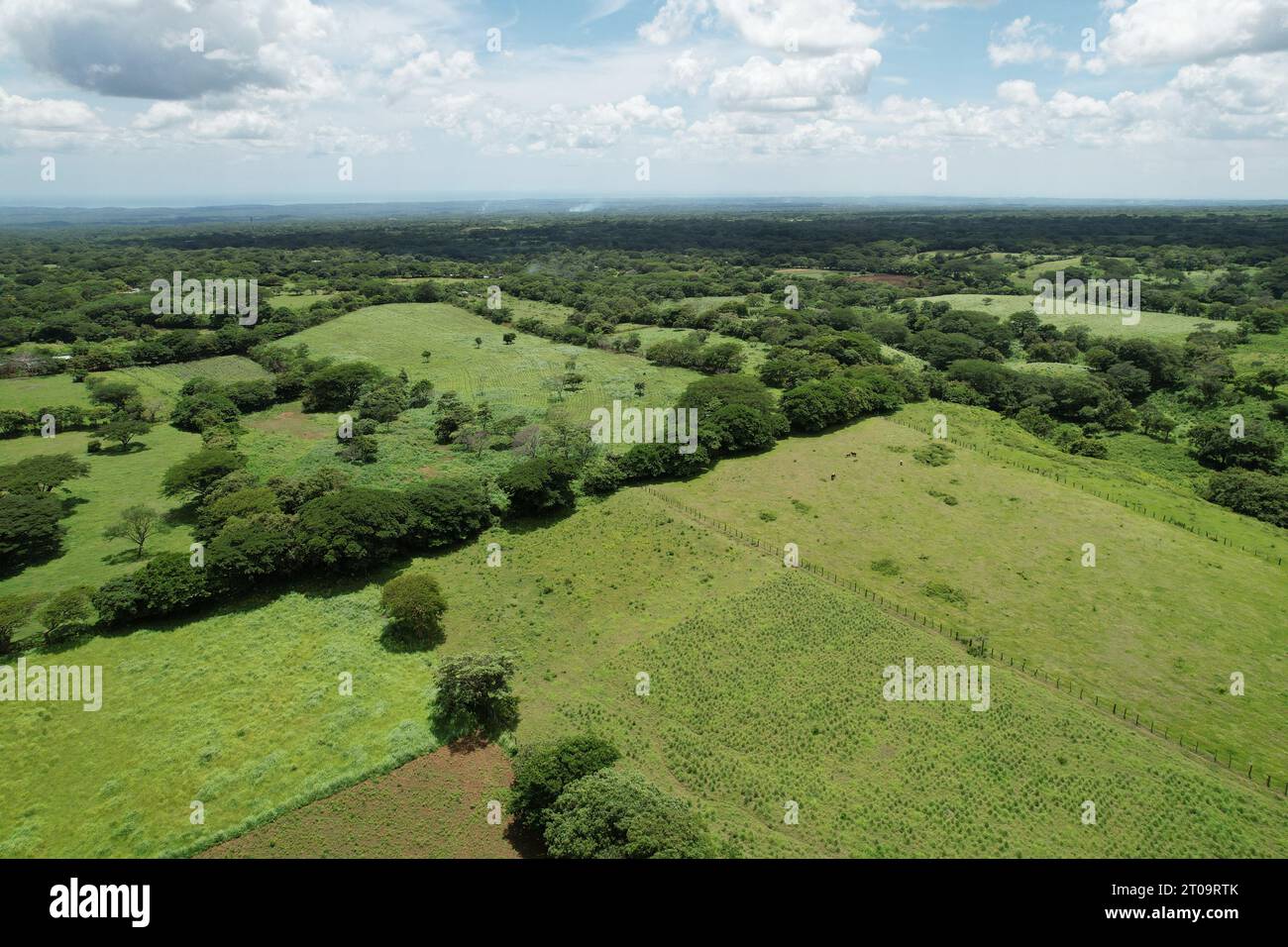 Champs de prairies vertes au Nicaragua paysage vue aérienne du drone Banque D'Images