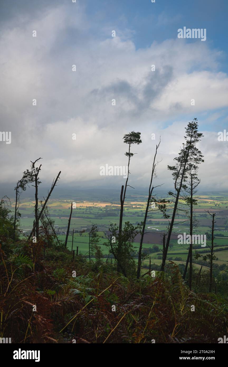 Simonside collines et rochers. Vues vers les Cheviots. Northumberland. Banque D'Images