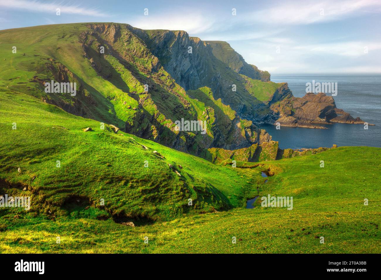La côte spectaculaire de Hermaness sur Unst, îles Shetland. Banque D'Images