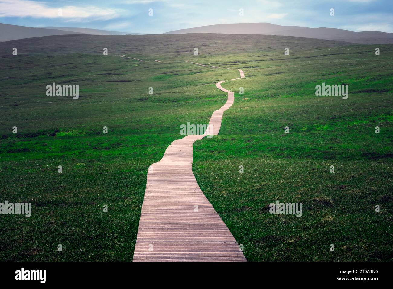 Sentier de randonnée pédestre de Hermaness sur Unst, îles Shetland. Banque D'Images