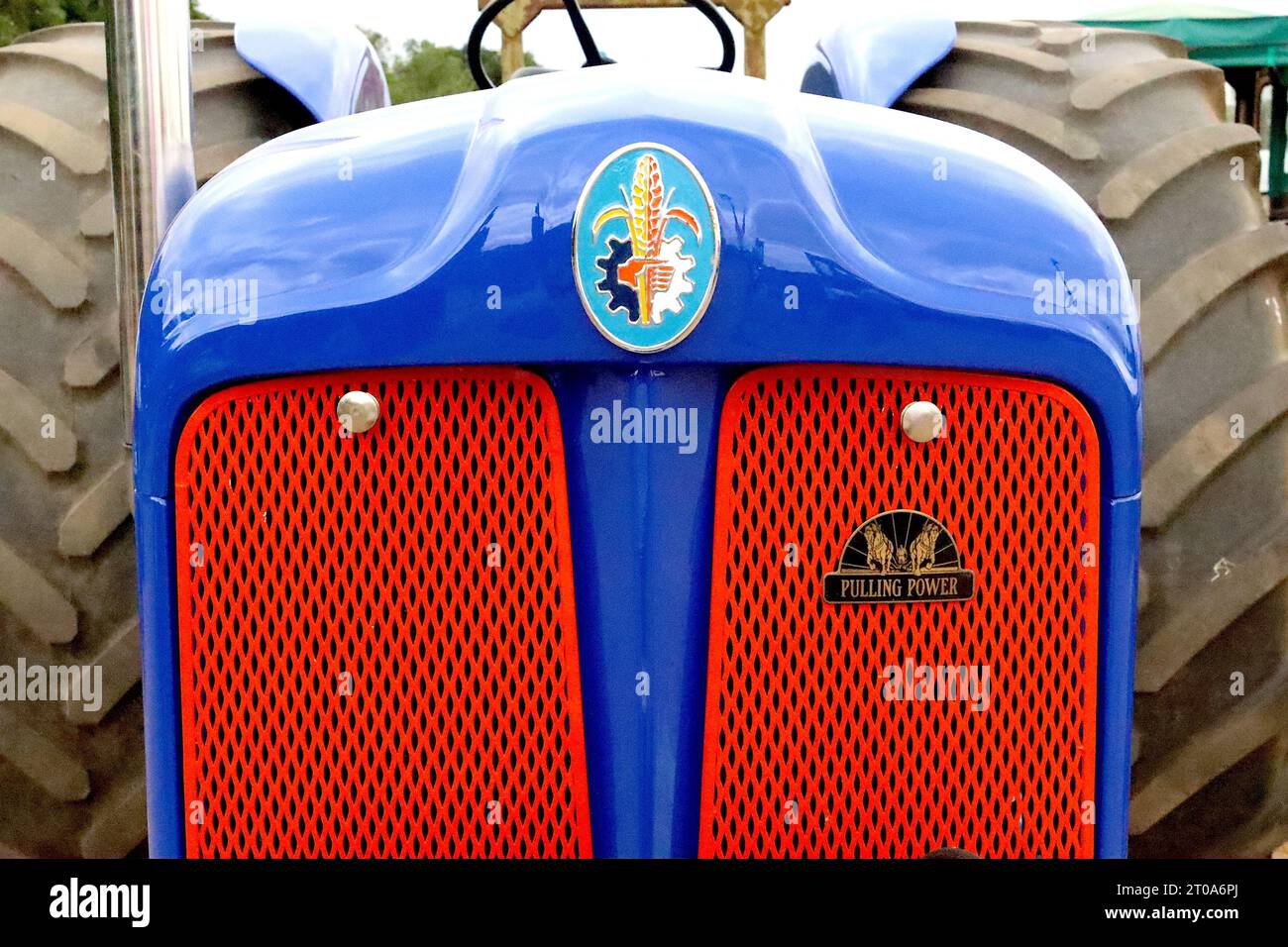 Tracteur Fordson Dexta restauré des années 1960 exposé au Dacorum Steam and Country Fayre de 2022. Le Fordson a été fabriqué à Dagenham, dans l'est de Londres. Banque D'Images