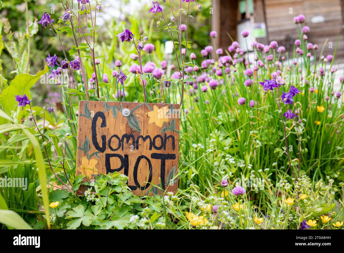 Signe commun de jardin de parcelle dans le champ de fleurs envahi avec structure en bois. Fond de jardin communautaire urbain. Focalisation sélective sur le signe fait à la main avec défocu Banque D'Images