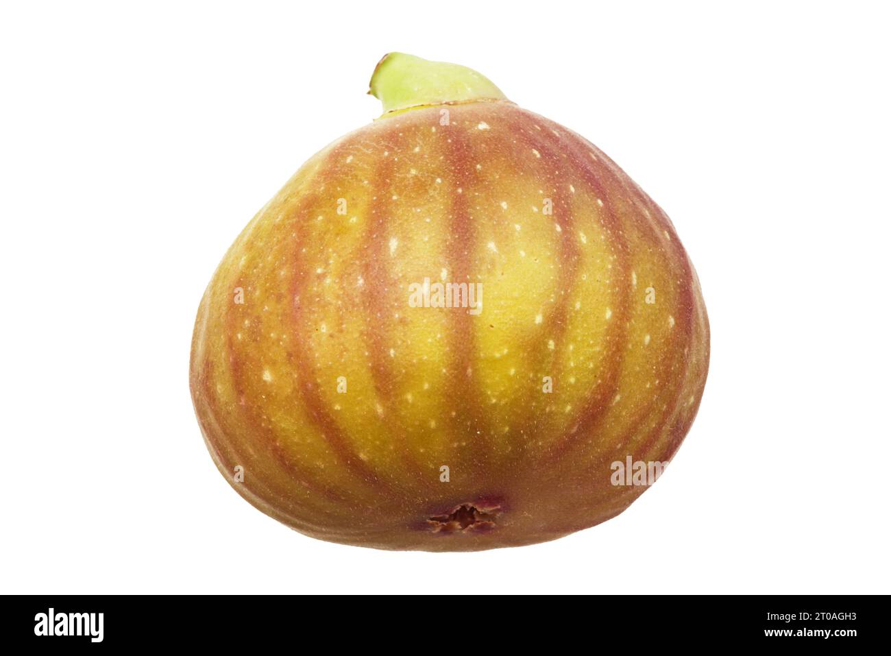 Fig fruit isolé sur fond blanc Banque D'Images