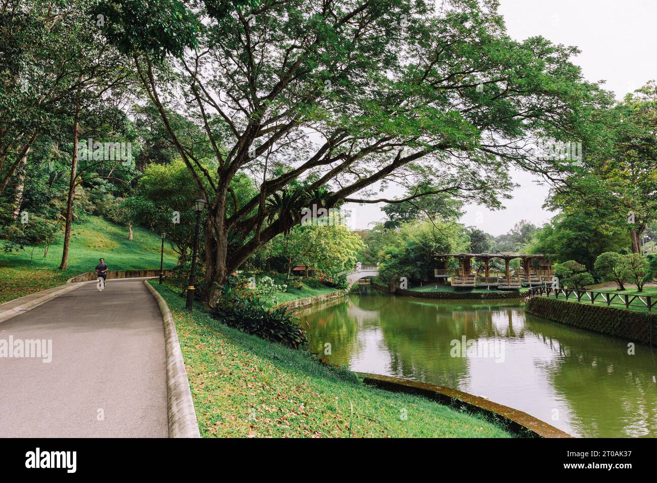 Perdana Botanical Gardens (Lake Gardens Park) dans le centre-ville de Kuala Lumpur – Parc de loisirs dans la capitale malaisienne du centre-ville Banque D'Images