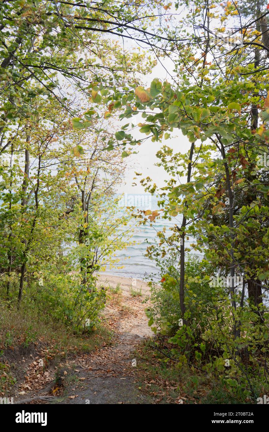 L'eau ondulée calme du lac Michigan est vue à travers les grands arbres et les branches à la fin de septembre. Le chemin mène en bas de la colline à une plage de sable. Banque D'Images