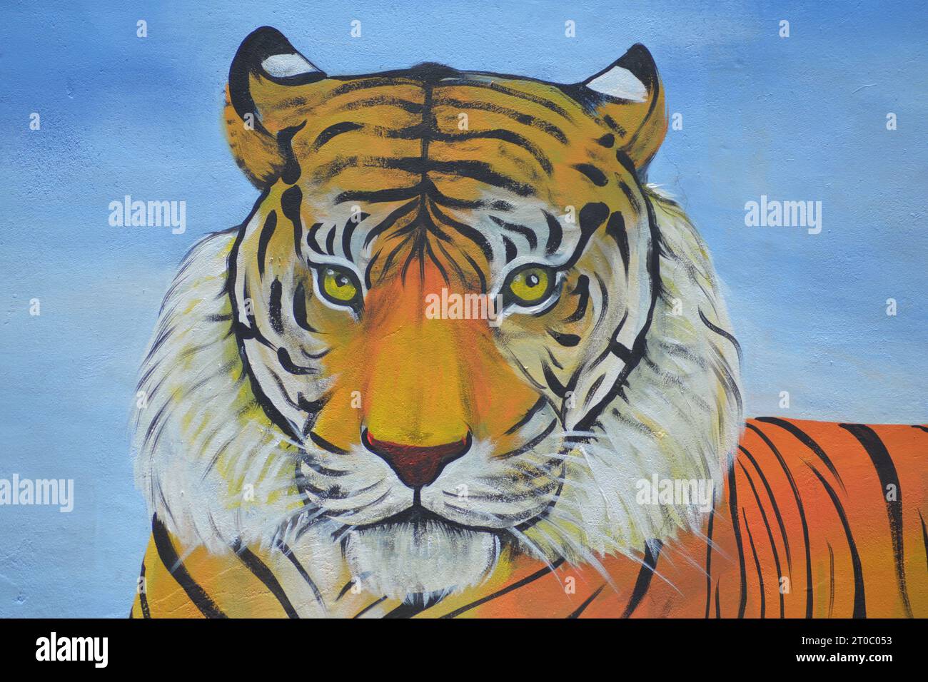 Dessin à la peinture pour tigre sauvage. Banque D'Images