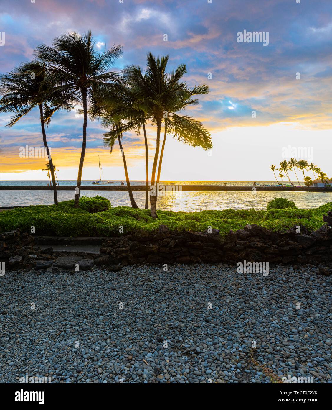 Coconut Palms au coucher du soleil sur Anchialine Pond et Anaeho'omalu Bay à Waikoloa Beach, Waikoloa, Hawaii, États-Unis Banque D'Images