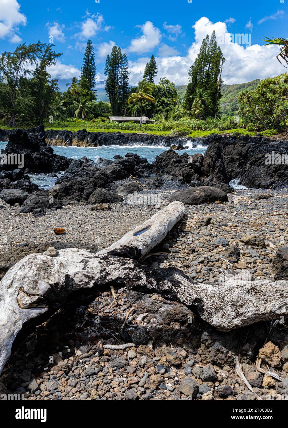 Le rivage volcanique à Keanae Lookout, Keanae, Maui, Hawaii, États-Unis Banque D'Images