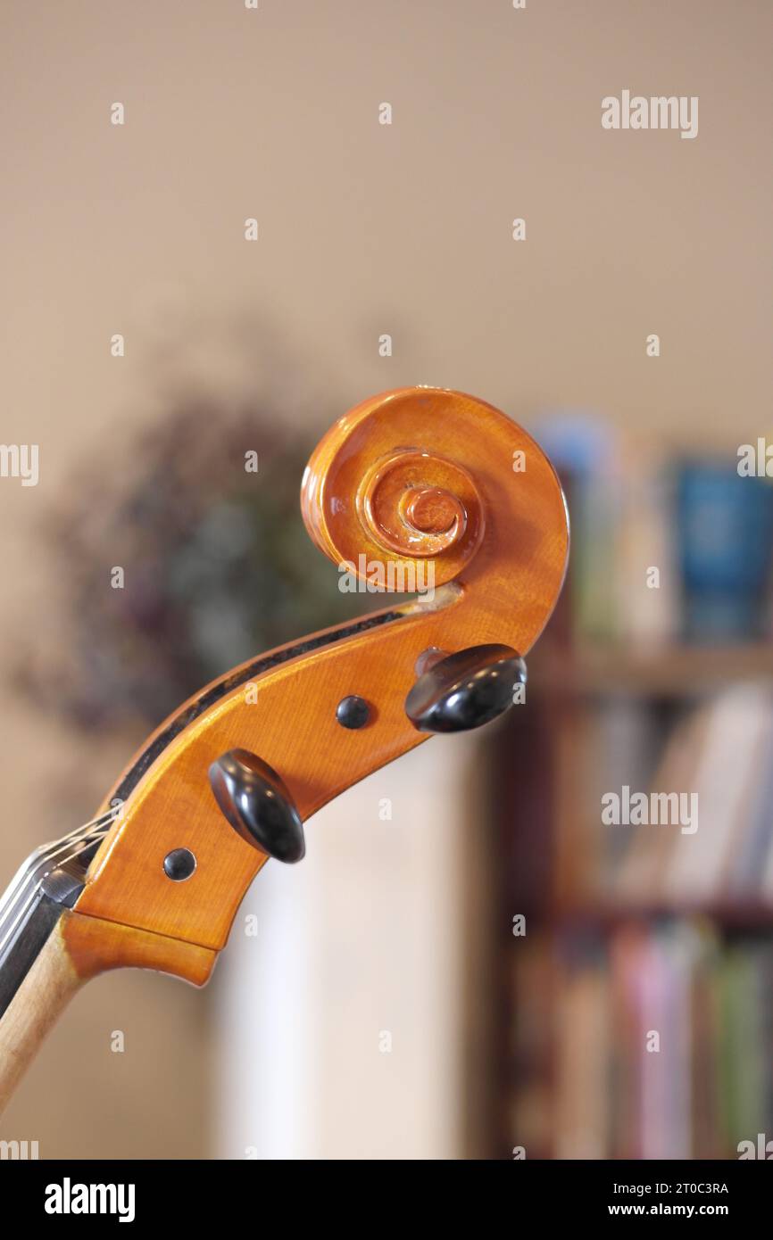 Vue rapprochée des pièces de violoncelle Banque D'Images
