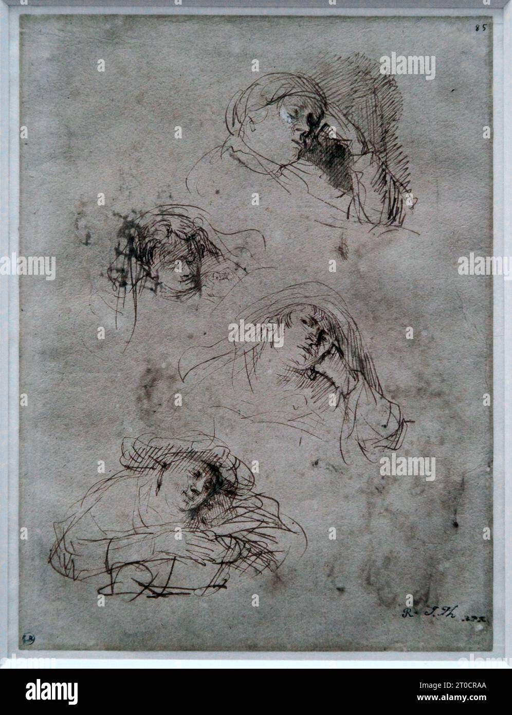 Quatre études de l'épouse de Rembrandt Saskia (c.1635-1636).Rembrandt van Rijn (1606-1669).(Saske Saskia Uylenburgh) Banque D'Images