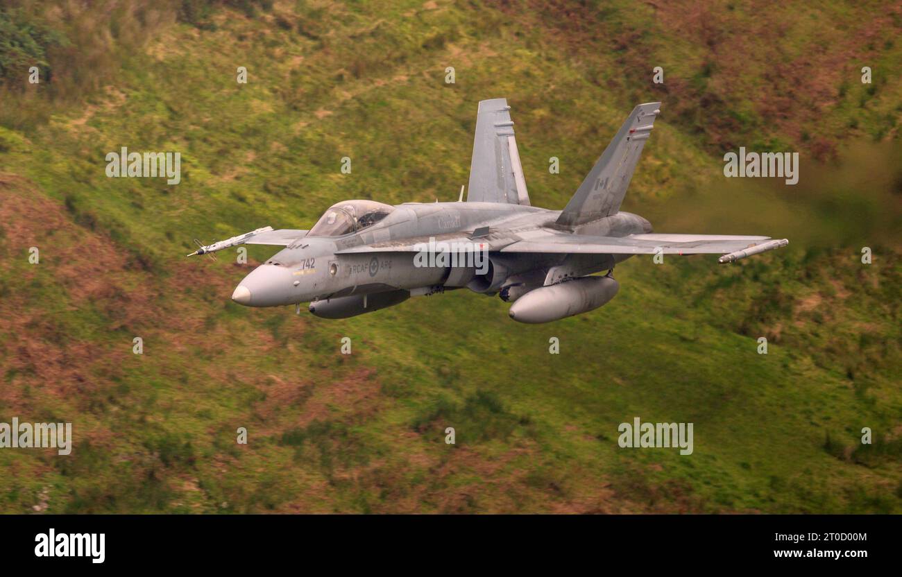 FC-188 724 Hornet de la Force aérienne royale canadienne volant à basse altitude dans le LFA7 de la « boucle de Mach » au pays de Galles Banque D'Images