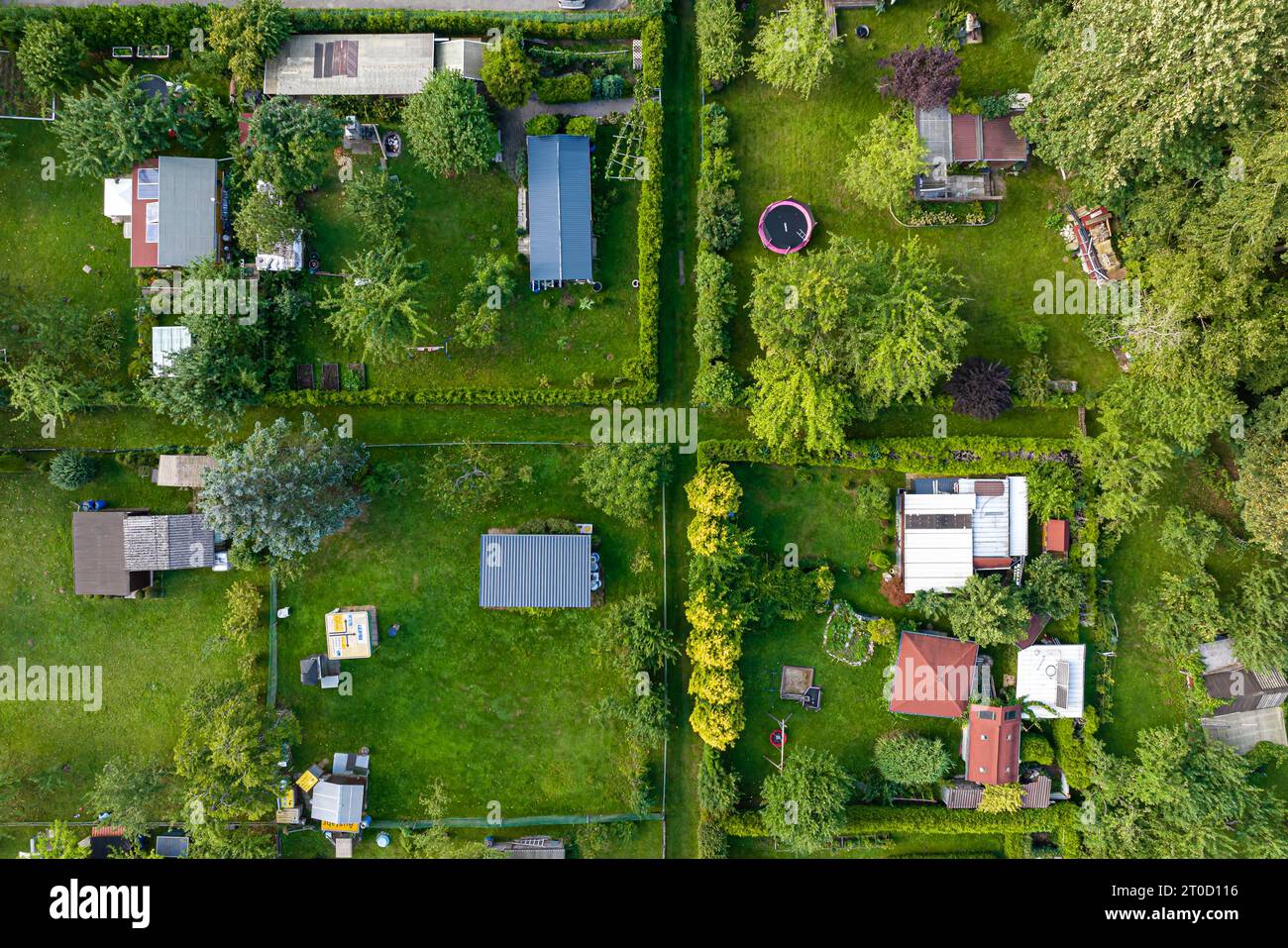Jardin d'allotissement, jardin de cisaillement, photo drone, top-down, Rottweil, Baden-Wuerttemberg, Allemagne Banque D'Images