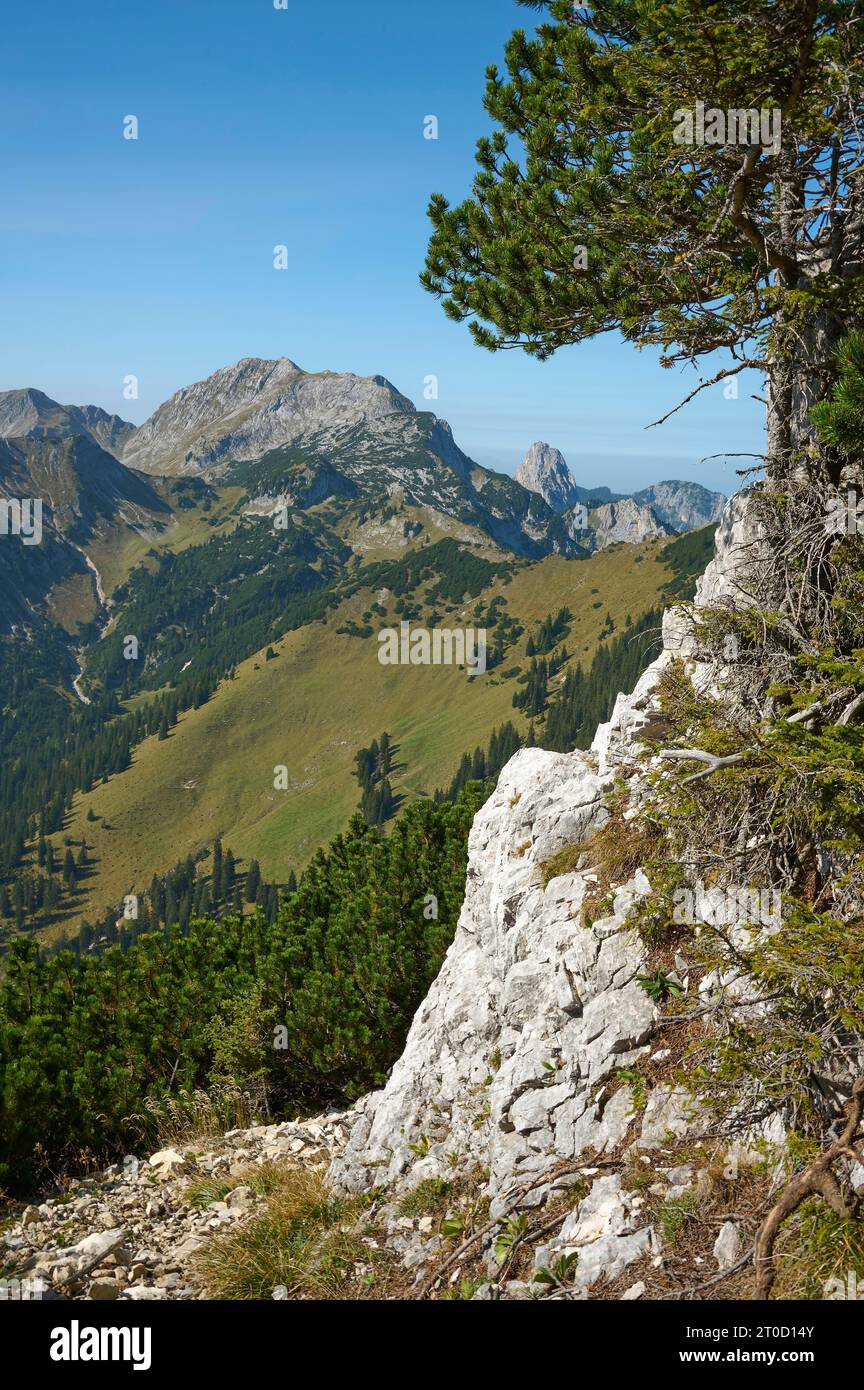 Hochplatte, vue depuis Scheinbergspitze, Alpes d'Ammergau, haute-Bavière, Bavière, Allemagne Banque D'Images