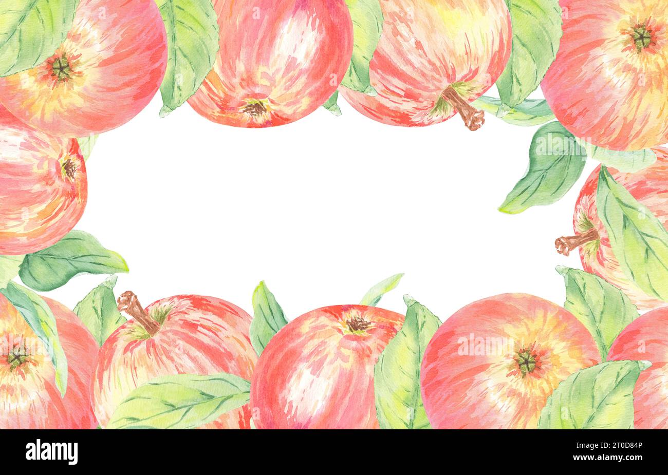 Cadre aquarelle pomme rouge illustration isolée sur fond blanc. Fruit d'automne pour logo, menu, carte, motif. Art pour le design. Manger sainement Banque D'Images