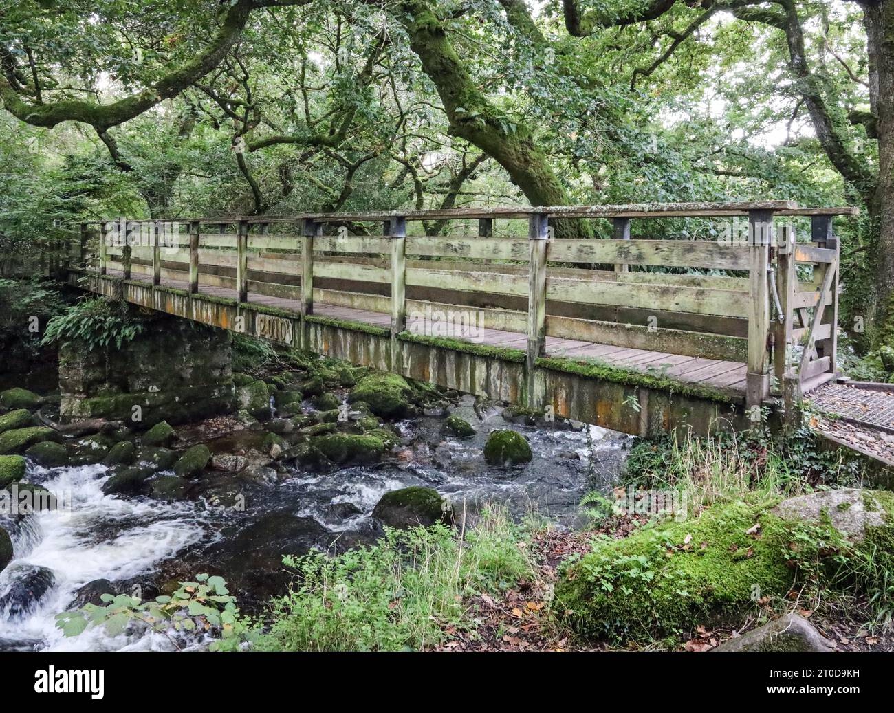 La passerelle en bois au-dessus de la rivière Plym à Shaugh Bridge dans les bois Dewerstone sur le bord de Dartmoor dans le Devon Sud. En dessous de la rivière cascades plus de m Banque D'Images
