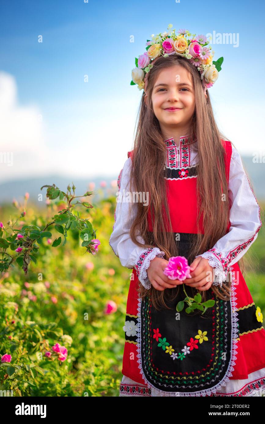 Fille bulgare avec la couronne de fleurs cueillant l'huile portant des roses damascena sur un champ de roses en fleurs au lever du soleil Banque D'Images