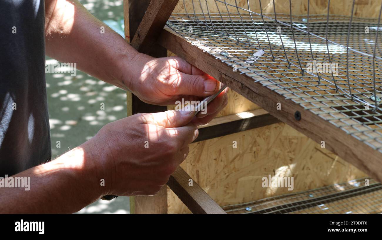 Un homme fixe une maille de fer sur une cage à oiseaux maison à l'aide d'un tournevis, faisant une éleveuse pour les petites volailles de ses propres mains, faisant une cage à cailles DIY Banque D'Images