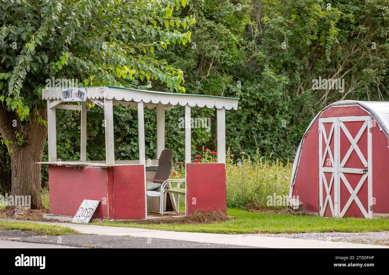 Funny Farms ferme stand dans Cutchogue longue île Banque D'Images