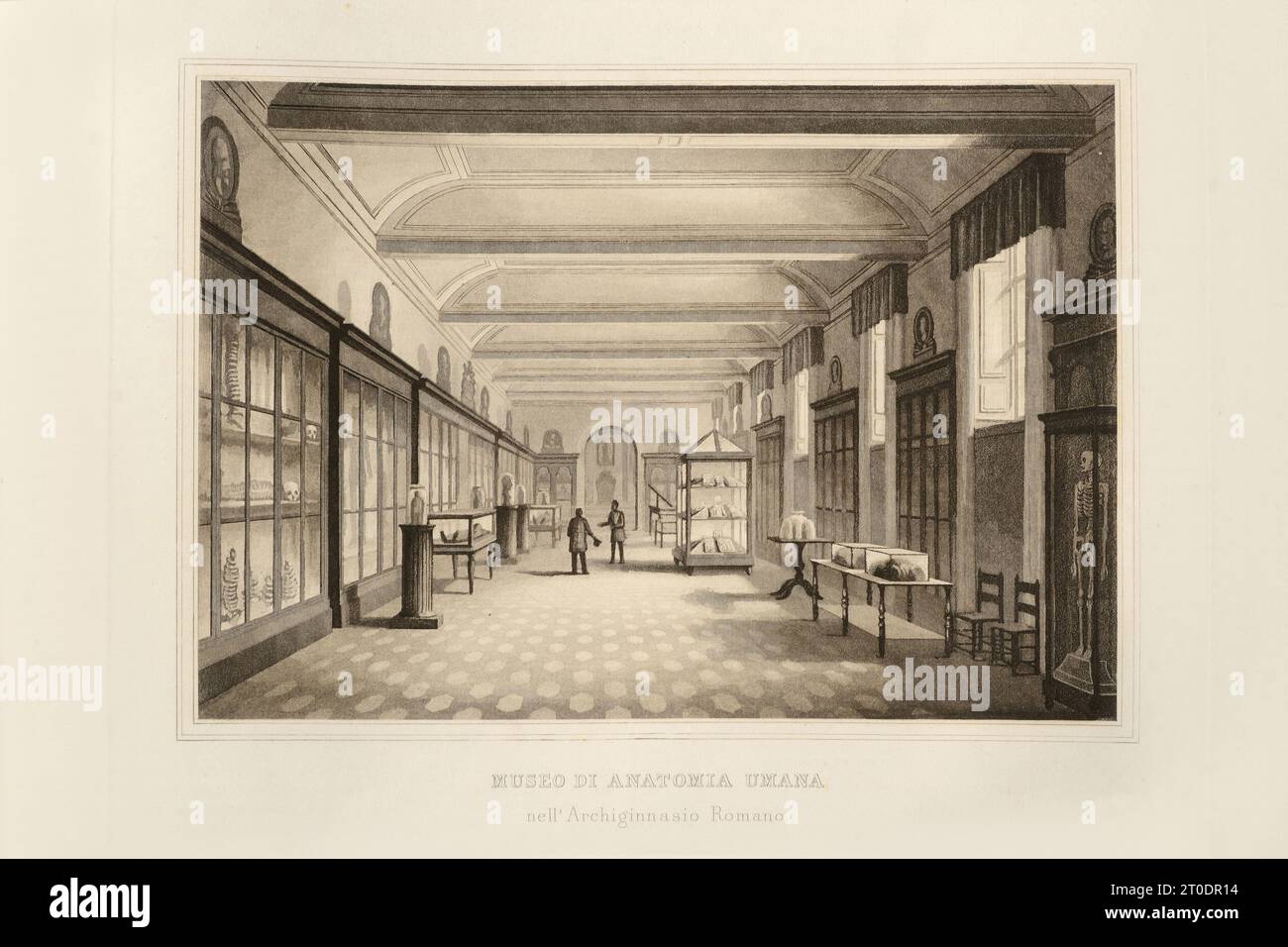 P. Cacchiatelli - G. Gleter, la science et les arts sous le pontificat de Pie IX, publié à Rome en 1860 par la Tipografia delle Belle Arti, via poli, 91. À l'intérieur, il y a des gravures représentant les œuvres publiques créées pendant le Pontificat de Pie IX Banque D'Images