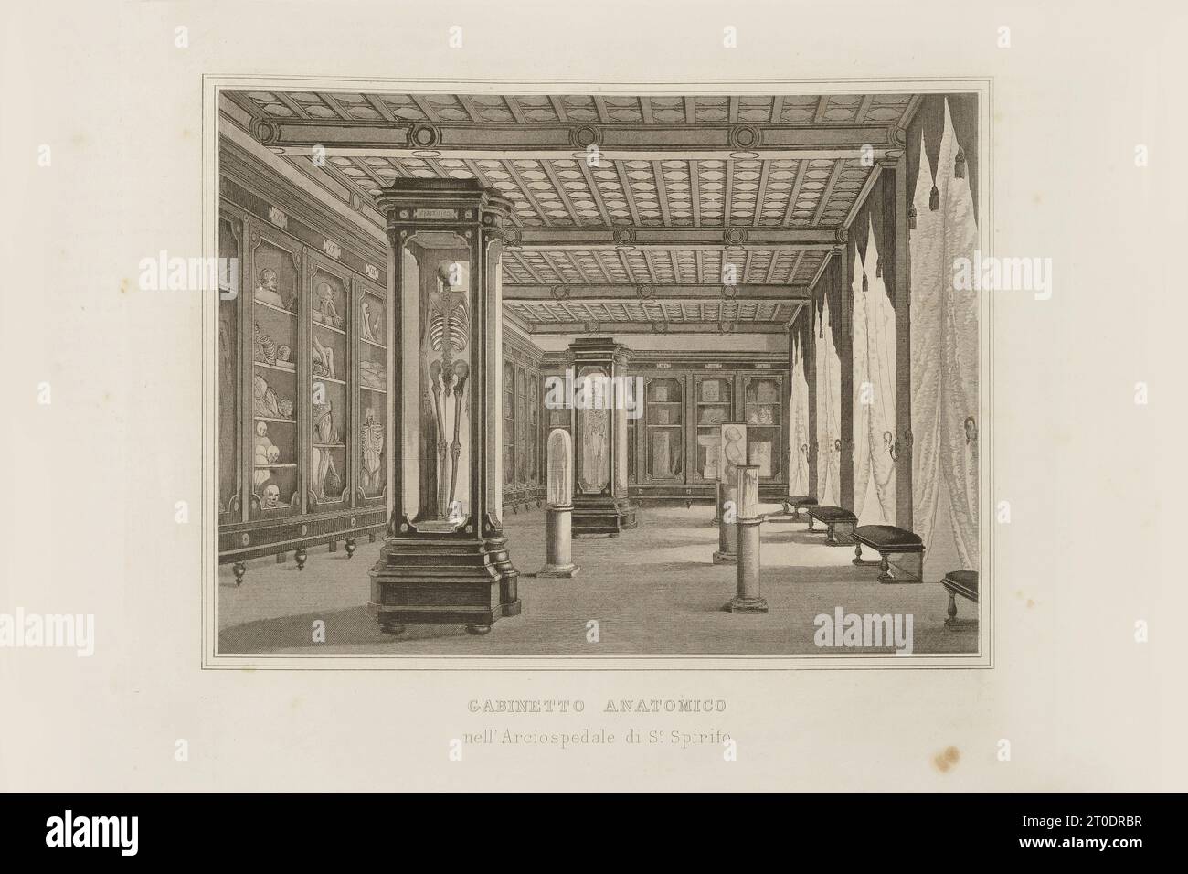 P. Cacchiatelli - G. Gleter, la science et les arts sous le pontificat de Pie IX, publié à Rome en 1860 par la Tipografia delle Belle Arti, via poli, 91. À l'intérieur, il y a des gravures représentant les œuvres publiques créées pendant le Pontificat de Pie IX Banque D'Images P. Cacchiatelli - G. Gleter, la science et les arts sous le pontificat de Pie IX, publié à Rome en 1860 par la Tipografia delle Belle Arti, via poli, 91. À l'intérieur, il y a des gravures représentant les œuvres publiques créées pendant le Pontificat de Pie IX Banque D'Images