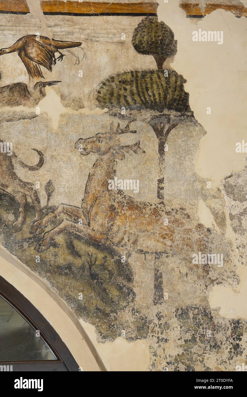 Esanatoglia (Italie, Marches - province de Macerata), Hôtel de ville (ancien palais des ducs de Camerino, le Da Varanos). Sala del Belvedere, cycle de fresques avec un sujet 'courtois', datable de la seconde moitié du 15e siècle, artiste inconnu Banque D'Images