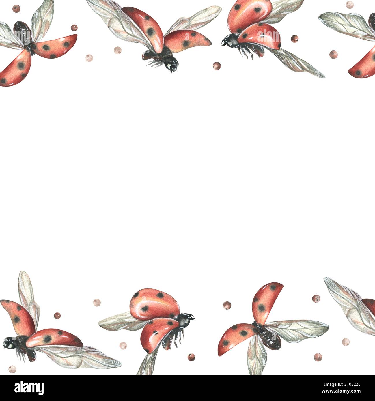 Coccinelles rouges avec des points noirs volant avec des branches de pommier. Illustration à l'aquarelle dessinée à la main. Modèle, cadre sur un fond blanc Banque D'Images
