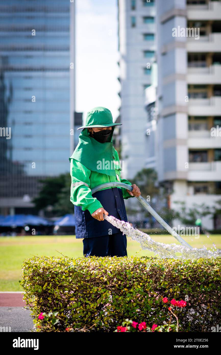 Un jardinier thaïlandais utilise un tuyau de tuyau pour arroser une haie sur le terrain de l'Université Srinakharinwirot Bangkok, Thaïlande. Banque D'Images