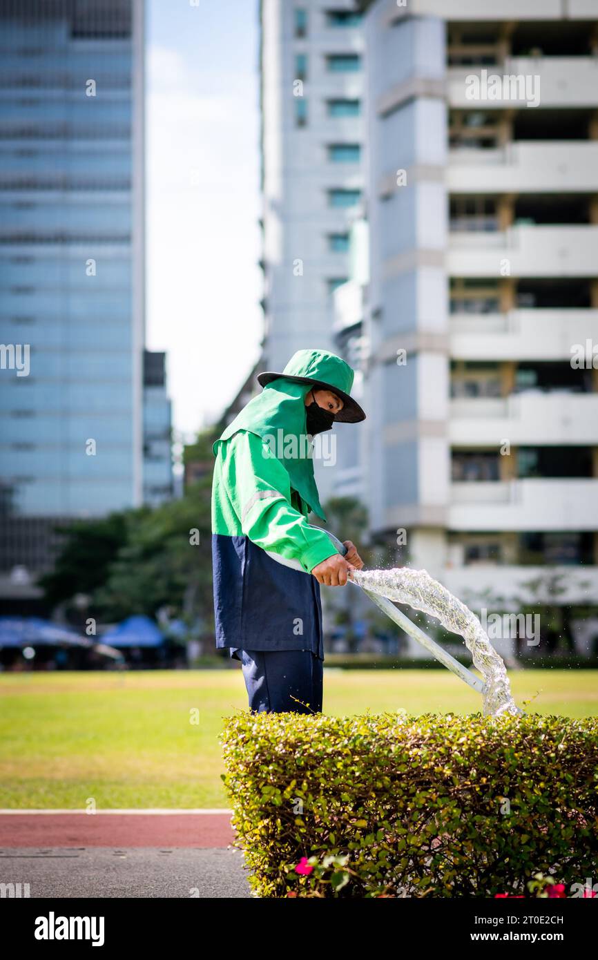 Un jardinier thaïlandais utilise un tuyau de tuyau pour arroser une haie sur le terrain de l'Université Srinakharinwirot Bangkok, Thaïlande. Banque D'Images